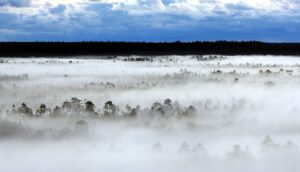 landschap met blauwe lucht, bos en mist