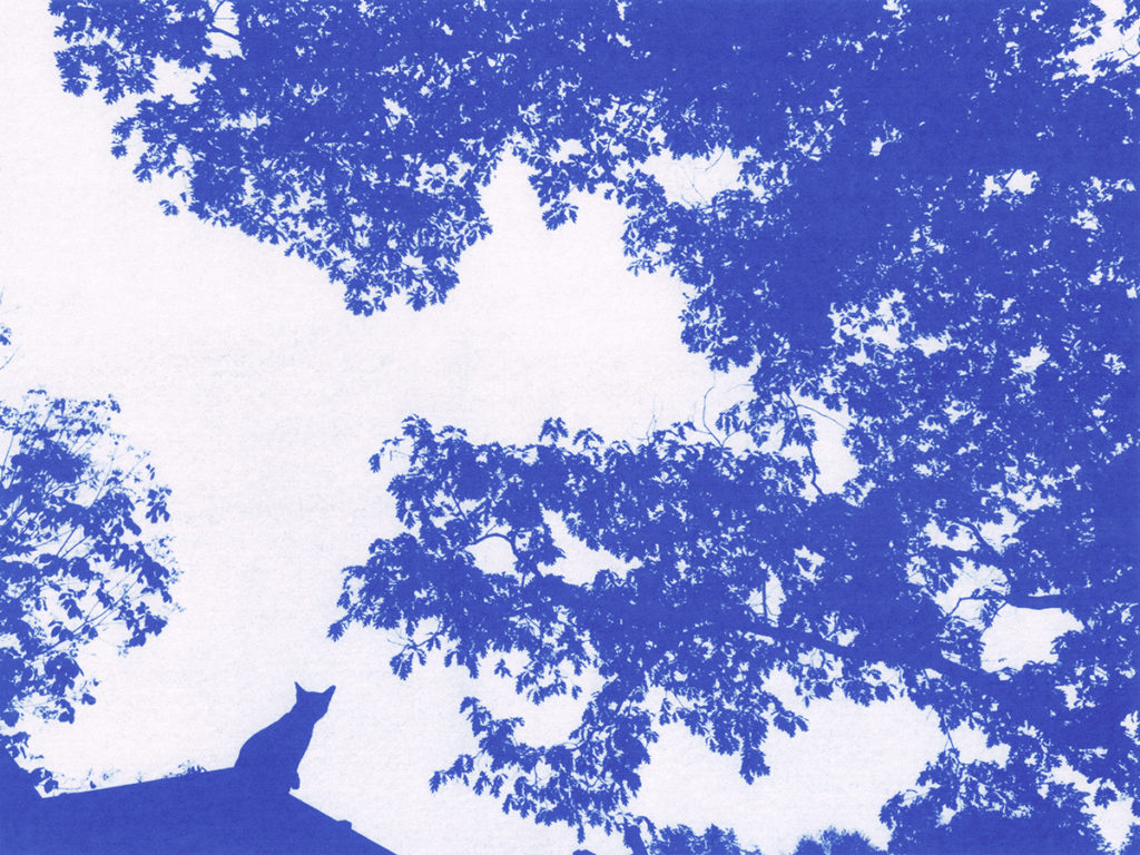 TIM_BARBER_NEW_BLUES_34-original