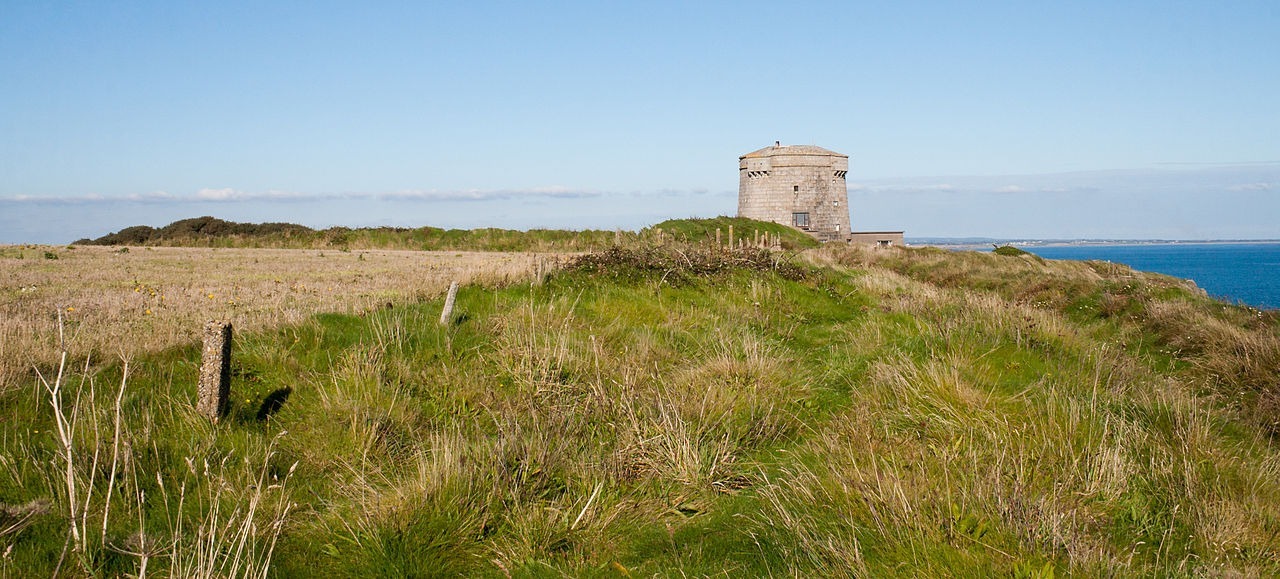 gras aan een kust met fort