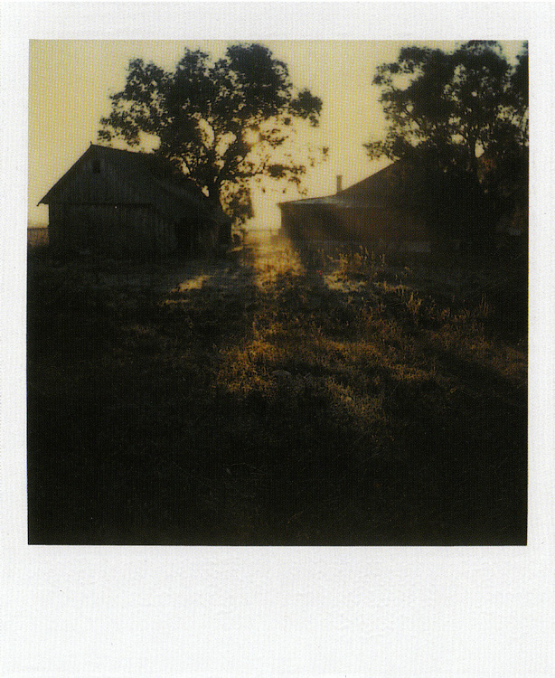 andrei_tarkovsky_Instant_light_polaroids_0Aandrei_tarkovsky_polaroid-015