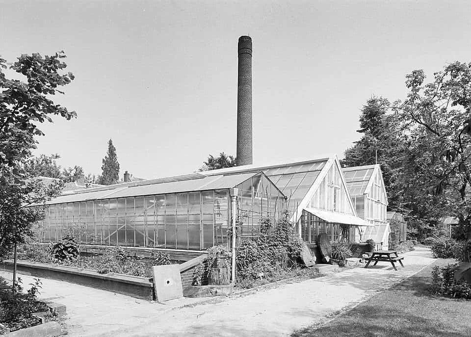 platenkassen in Oude Hortus Utrecht met daarachter de schoorsteen 